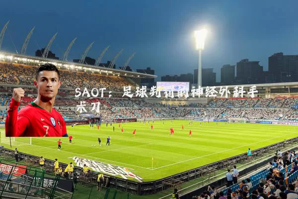 SAOT:足球判罚的神经外科手术刀